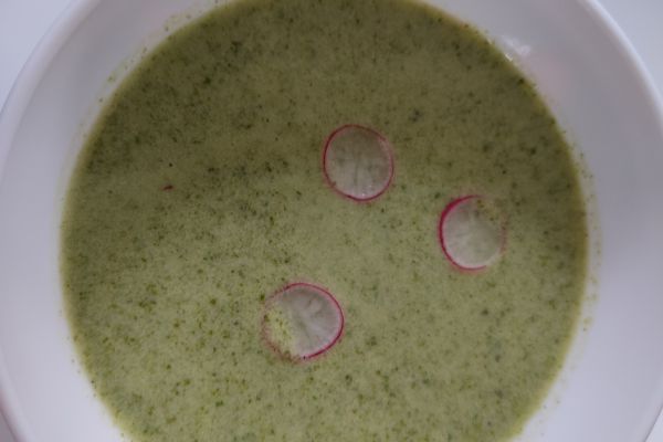 Recette Soupe froide fânes radis et concombre au compact cook pro