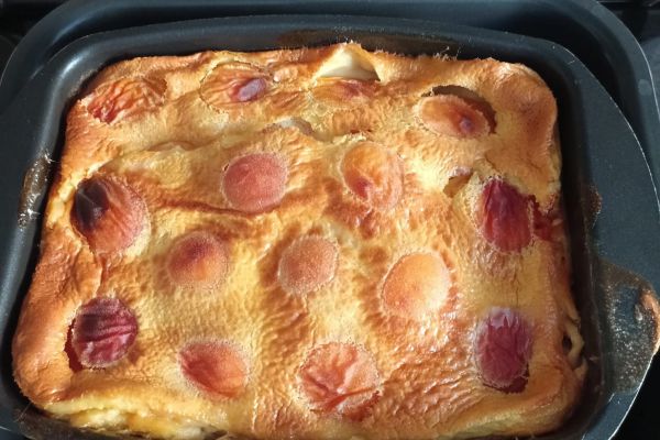 Clafoutis aux abricots frais au combi Ninja