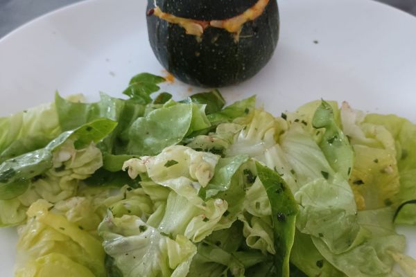 Recette Courgettes farcies béchamel au combi ninja