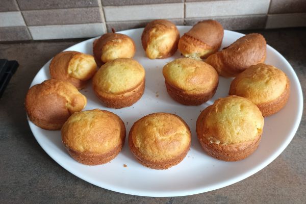 Recette Gâteaux madeleines combi ninja vs air fryer ninja af400