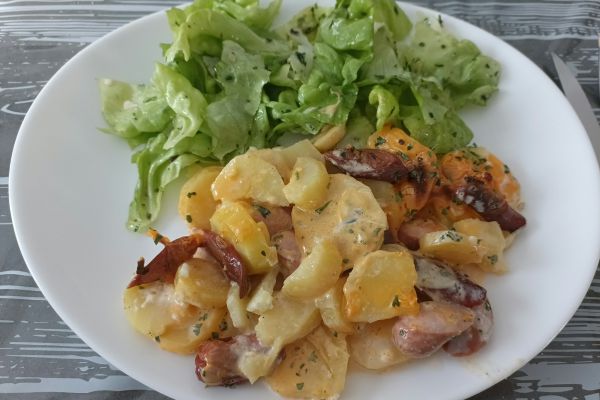 Gratin de pommes de terre , knakki et cheddar au Combi Ninja