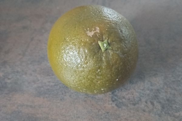 J'ai testé l'orange chocolat 