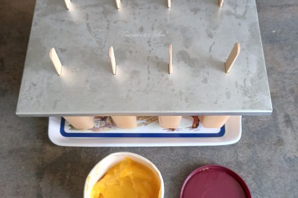 Recette Crème glacée mangue au compact cook pro