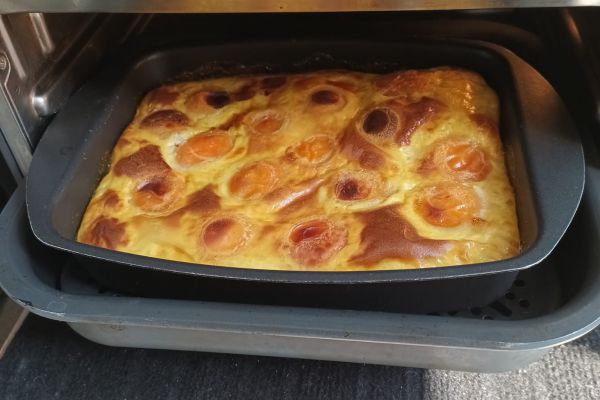 Recette Flan léger aux abricots avec le combi Ninja
