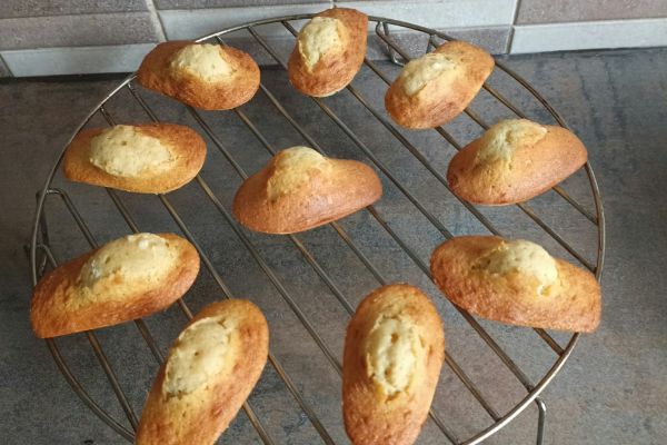 Madeleines à la vanille au combi Ninja