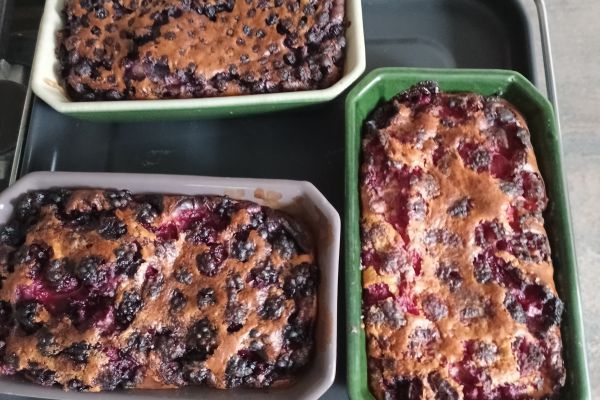 Recette Clafoutis aux fruits avec le COMBI NINJA