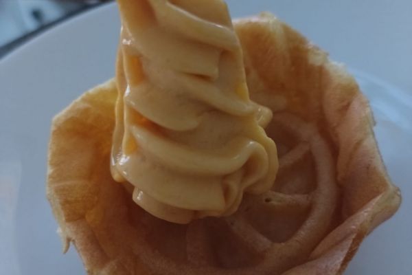 Crème glacée pêche et abricot avec la swirl Ninja