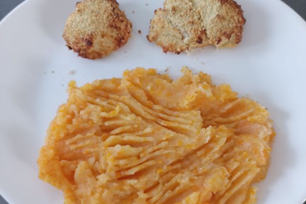 Pavés de poulet au combi ninja