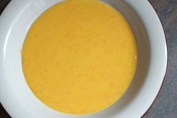Velouté de potimarron au Robicook