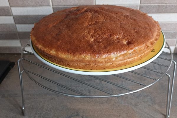 Recette Gâteau yaourt de Gigi au COMBI NINJA 