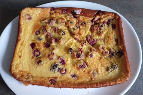 Recette Flan aux fruits rouges du jardin avec le combi ninja