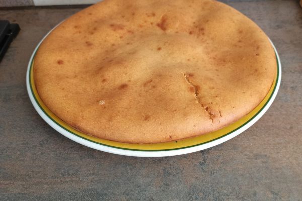 Gâteau vite fait bien fait au combi Ninja