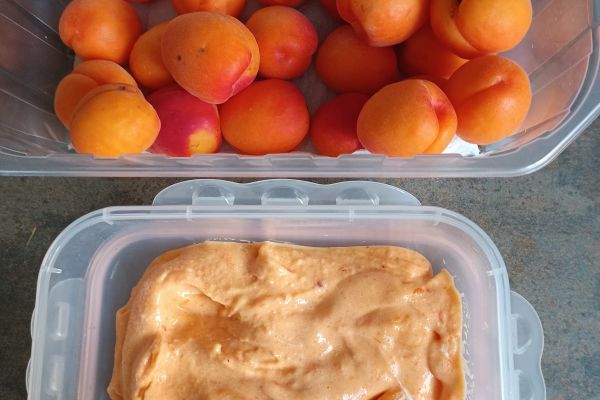 Recette Sorbet abricot au compact cook pro 