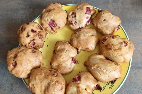 Recette Croquants aux fraises au combi Ninja