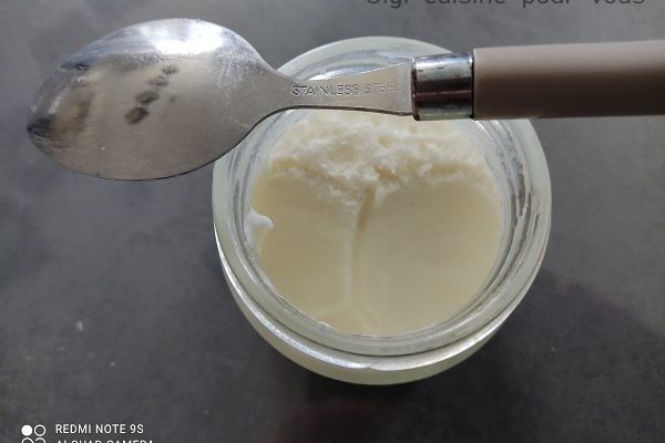 Yaourt au lait de coco avec yaourtière (et ccpro)
