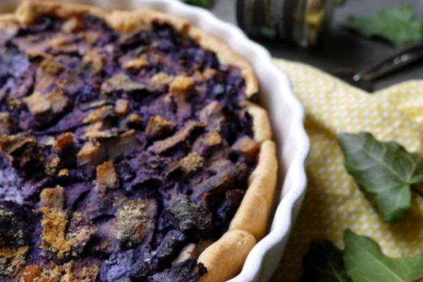 Recette  Quiche chou rouge & Te’Fou de chanvre