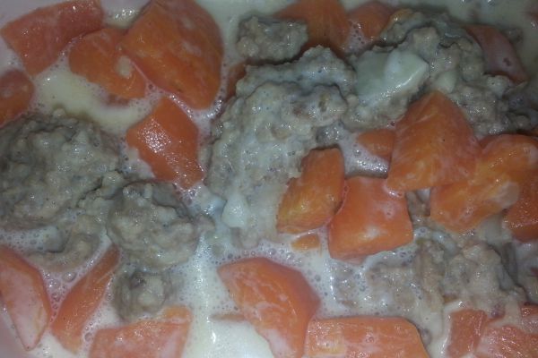 Viande hachée aux carottes COOKEO