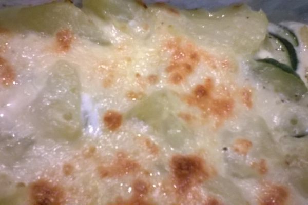 Gratin patates & courgettes